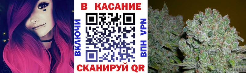 Каннабис Алзамай
