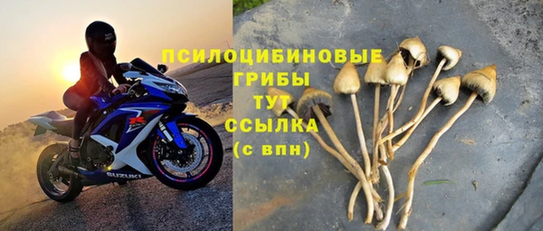 стаф Покачи